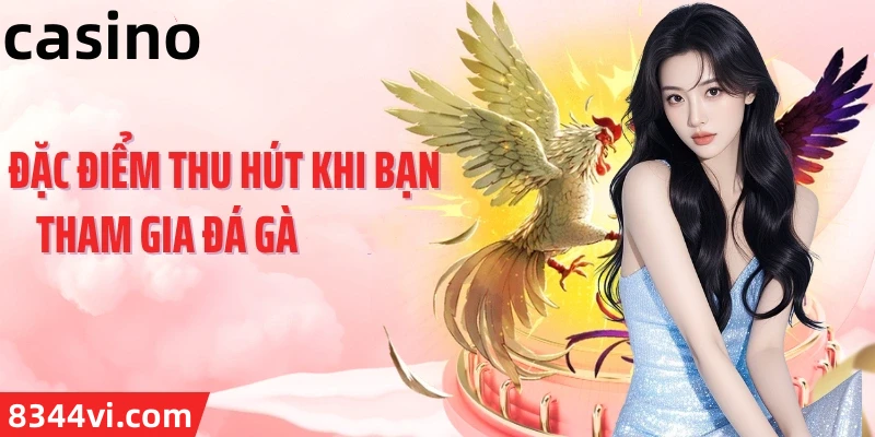 Hình ảnh quảng cáo của vip66 hiển thị nền tảng và các lợi ích